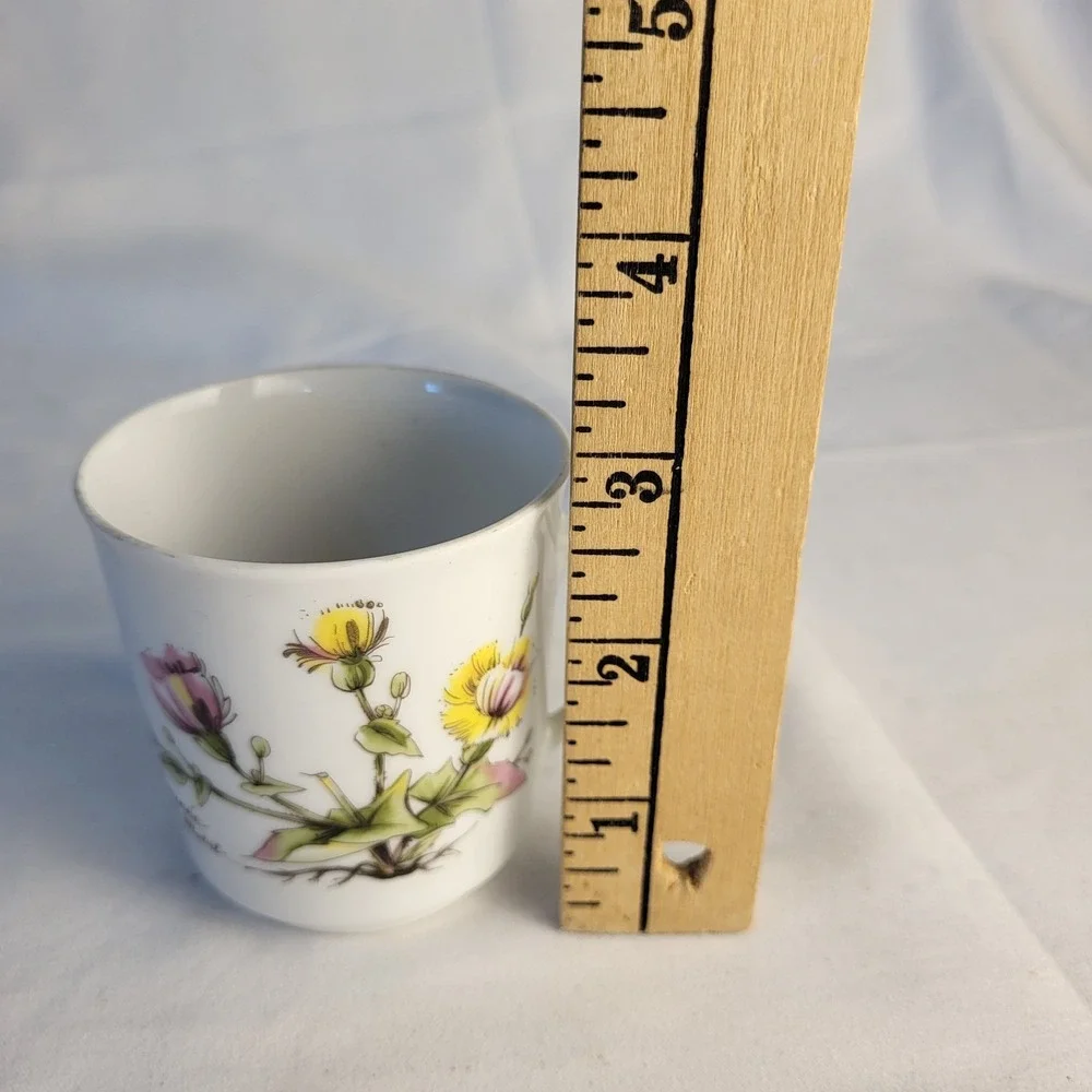 Winterling porcelain demitasse